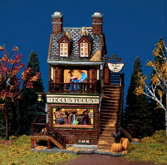 Department 56 - Snow Village Halloween - Helga's House of Fortunes with sound
